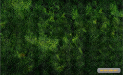 Black Green Grass babyphotoshoot Backdrop