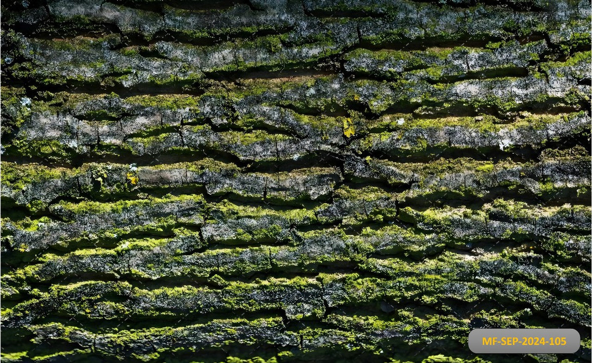 Green Moss Wall babyphotoshoot Backdrop