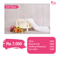 Crib Theme