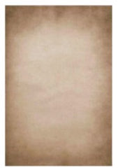 Sepia Beige Vignette 8x12 Ft Backdrop