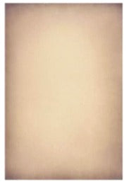 Soft Ivory Cream Texture 8x12 Ft Backdrop