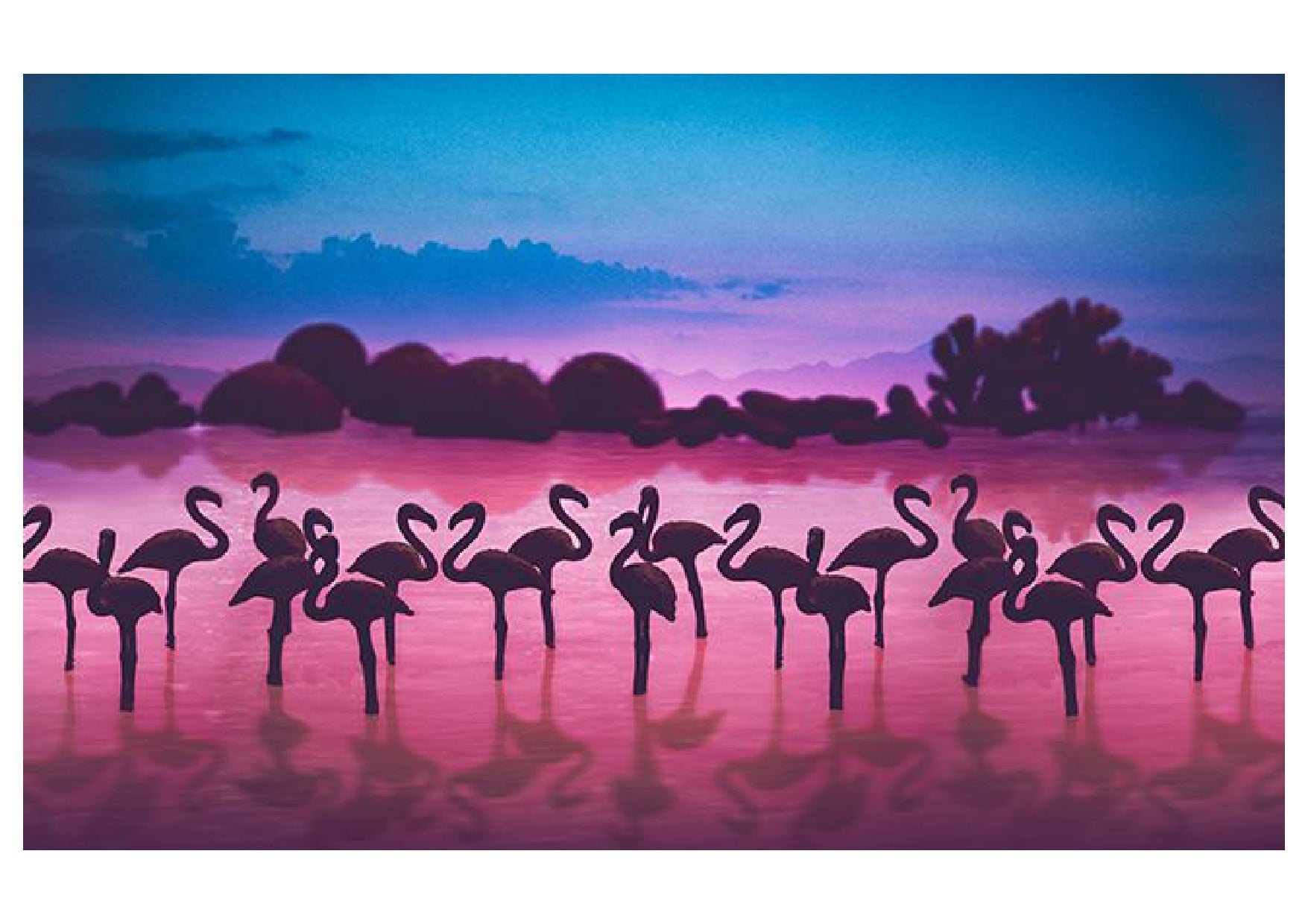 Flamingo Pink Color Birds Backdrop