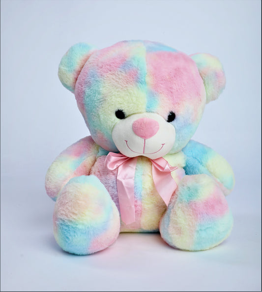 Multi color Teddy Bear